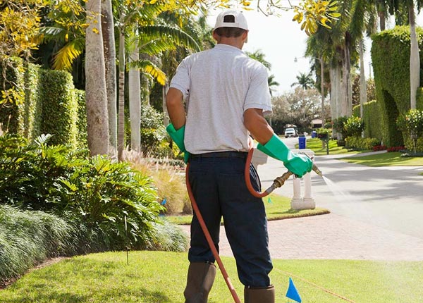 About Commerce OK Pest Control